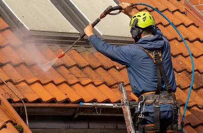 Démoussage et hydrofuge de toiture au Larderet